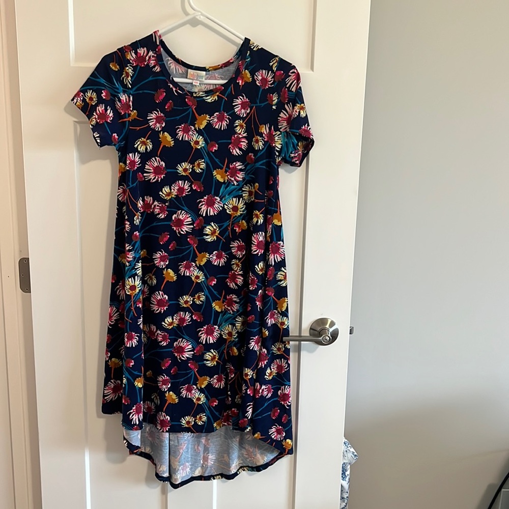 XXS Lularoe Carly Dress